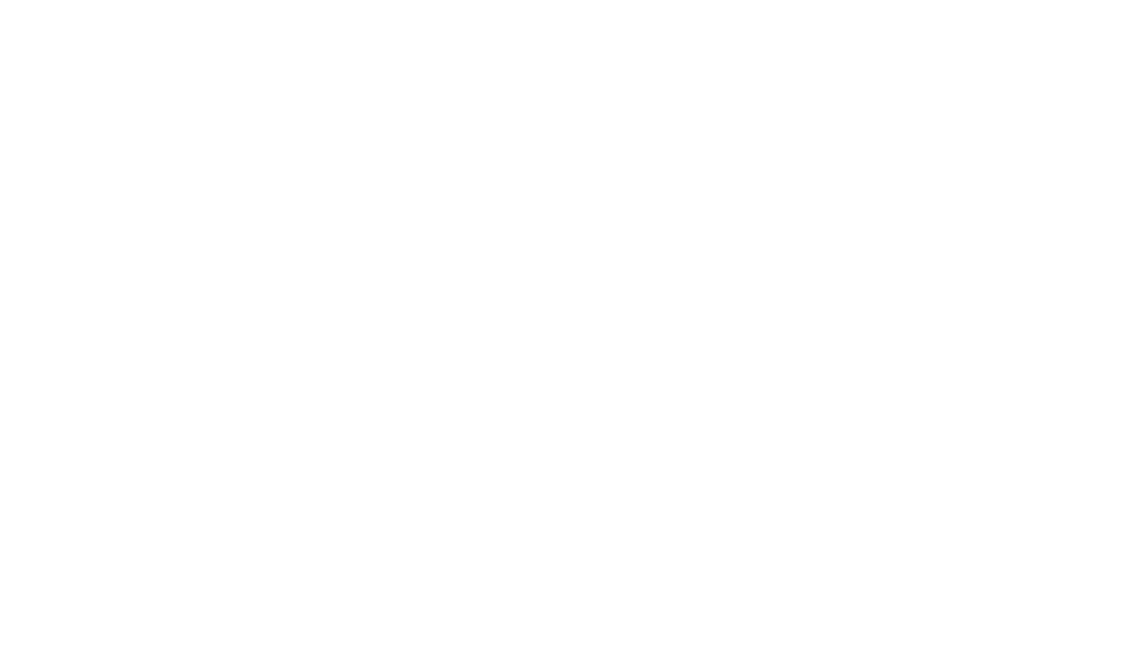 Hudson Valley's Go To Cleaning Service